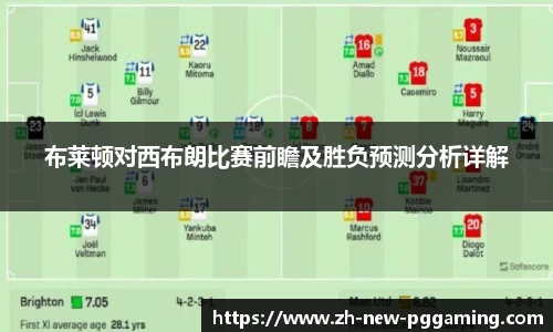 布莱顿对西布朗比赛前瞻及胜负预测分析详解